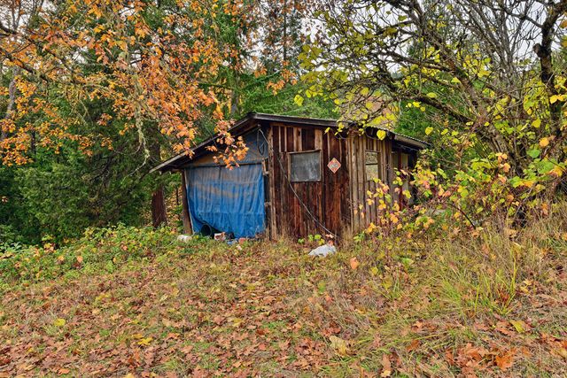 1480 Bridge Lane, Wolf Creek, OR 97497