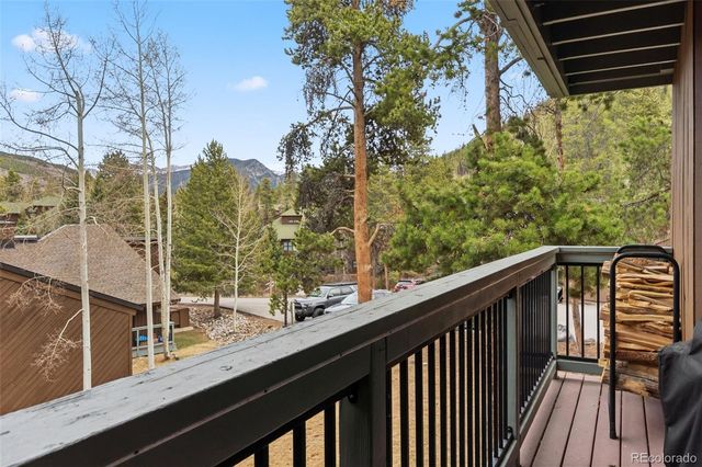 423 Wild Irishman Road 13202, Dillon, CO 80435