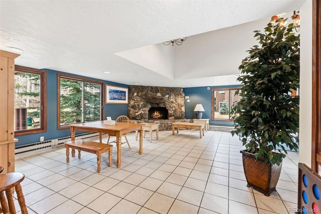 423 Wild Irishman Road 13202, Dillon, CO 80435