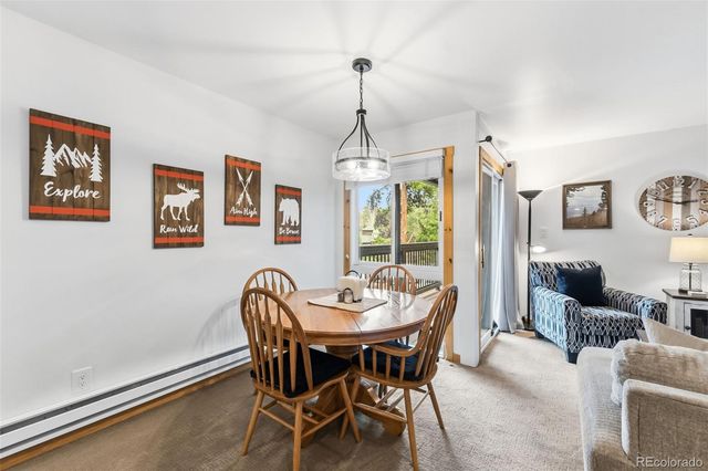 423 Wild Irishman Road 13202, Dillon, CO 80435