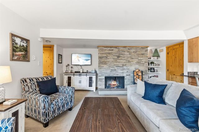 423 Wild Irishman Road 13202, Dillon, CO 80435