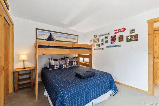 423 Wild Irishman Road 13202, Dillon, CO 80435