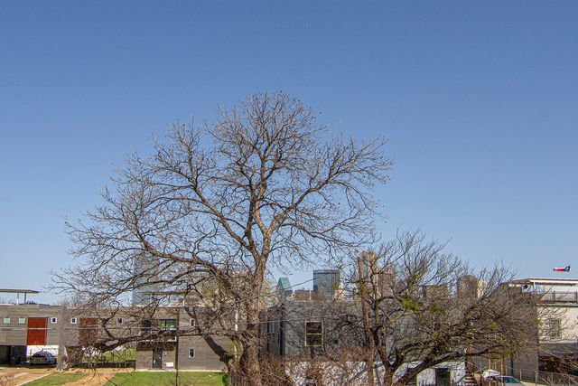 1529 Seegar Street, Dallas, TX 75215