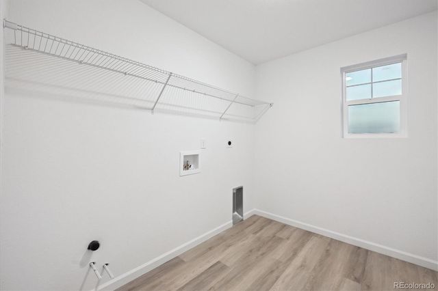 912 Steppe Lane, Windsor, CO 80550