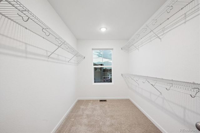 912 Steppe Lane, Windsor, CO 80550