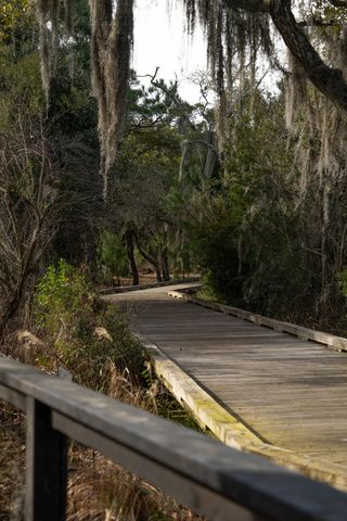 1443 Willtown Street, Charleston, SC 29492