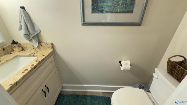 1445 Big Nose Drive, Centre, AL 35960