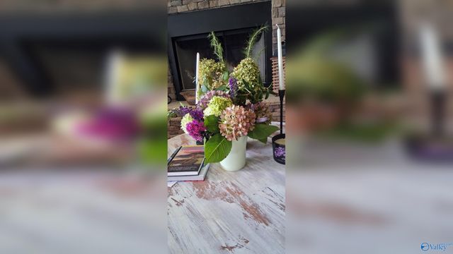 1445 Big Nose Drive, Centre, AL 35960