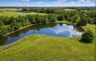 TBD (+/- 38.77 Acres) Andreski Road, Bremond, TX 76629