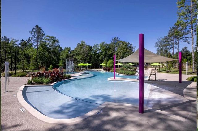 175 Gray Pine Grove, Willis, TX 77318