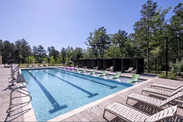 175 Gray Pine Grove, Willis, TX 77318