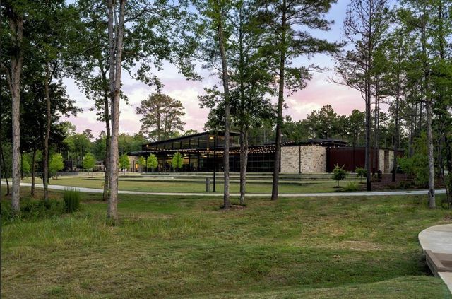 175 Gray Pine Grove, Willis, TX 77318