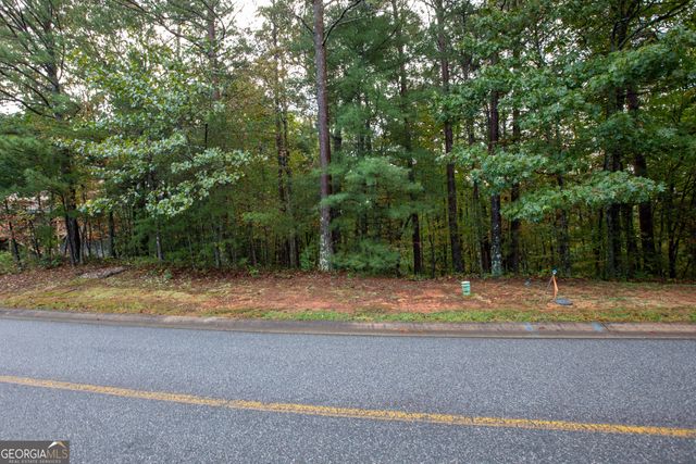 0 Zeppelin Strasse, Helen, GA 30545