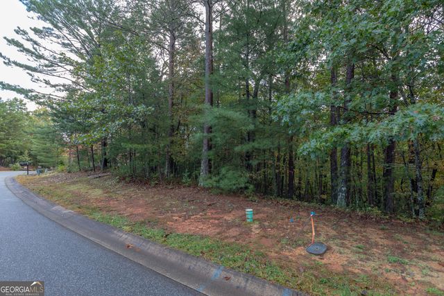 0 Zeppelin Strasse, Helen, GA 30545