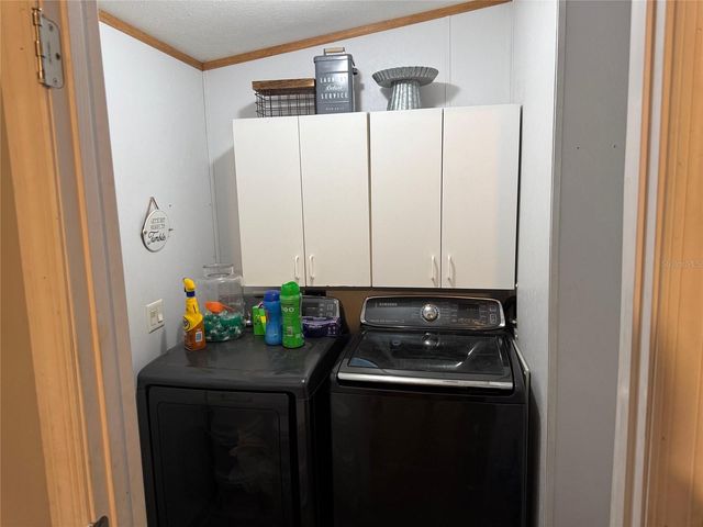 38038 CAT AVENUE, Zephyrhills, FL 33541