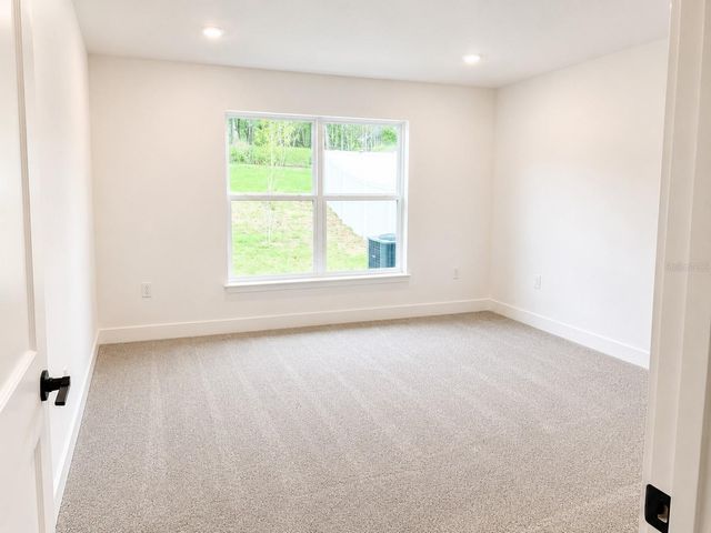 259 VERNY GROVE LANE, Leesburg, FL 34748