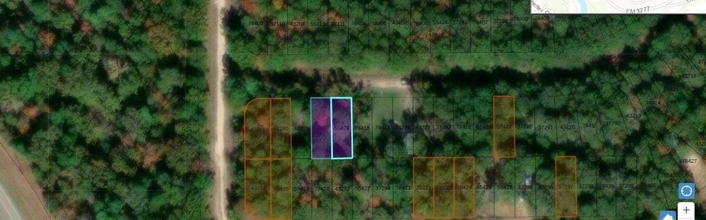 Lots 435 and 436 Wake Forest, Livingston, TX 77351