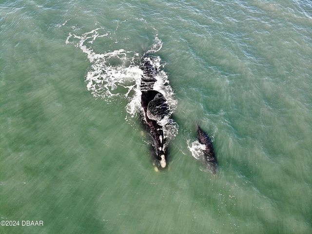 200 Marina Bay Dr Unit 201, Flagler Beach, FL 32136