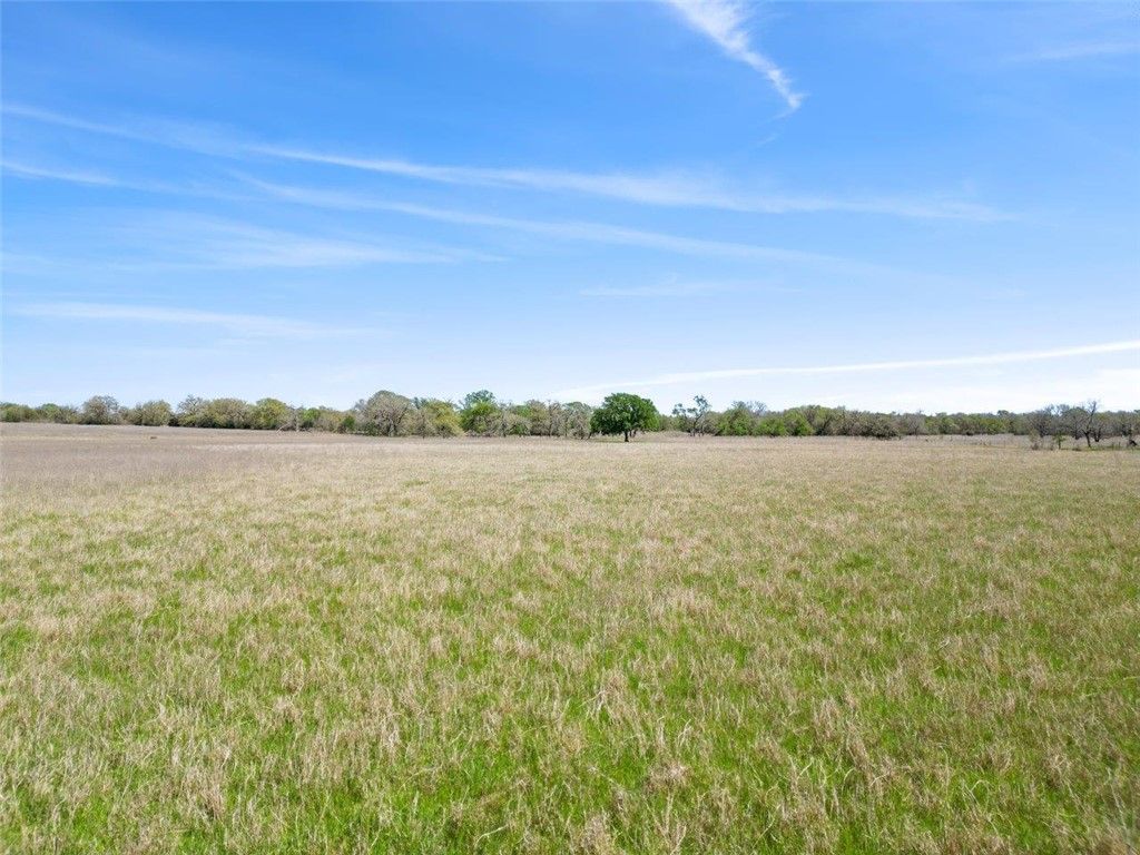 TBD CR 401, Anderson, TX 77830 — photo 3