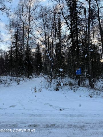 16486 E Barge Drive, Talkeetna, AK 99676