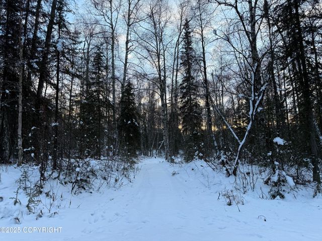 16486 E Barge Drive, Talkeetna, AK 99676