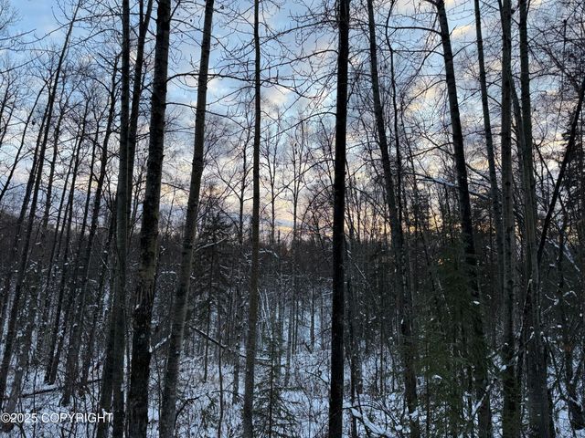 16486 E Barge Drive, Talkeetna, AK 99676