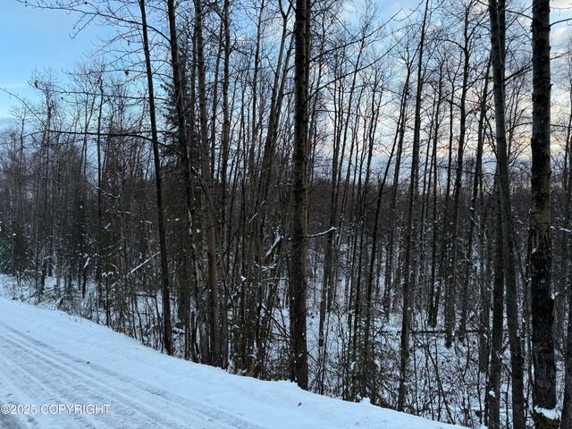 16486 E Barge Drive, Talkeetna, AK 99676