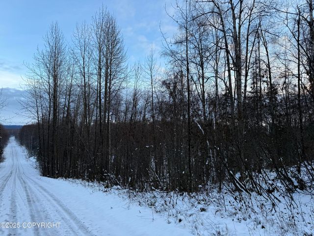 16486 E Barge Drive, Talkeetna, AK 99676