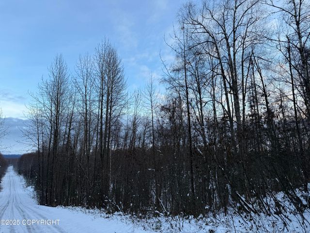 16486 E Barge Drive, Talkeetna, AK 99676