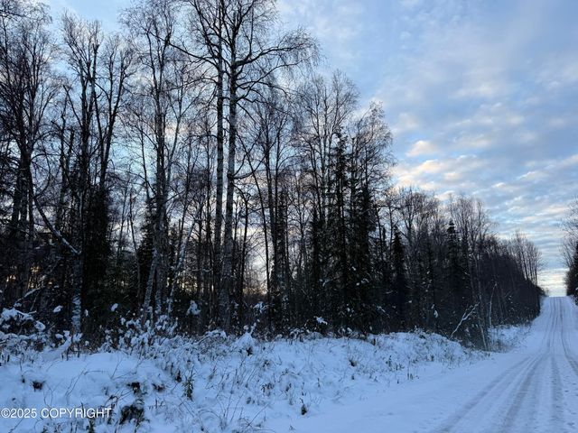 16486 E Barge Drive, Talkeetna, AK 99676