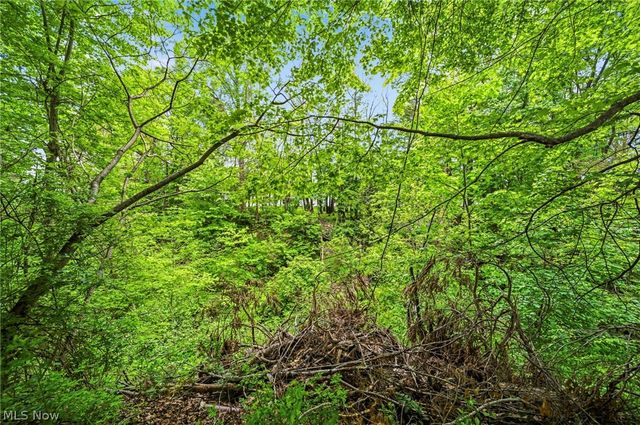 331 Dibble Road, Conneaut, OH 44030