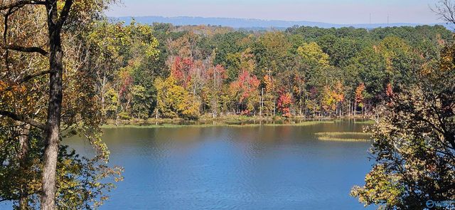 1222 Sibert Drive, Glencoe, AL 35905