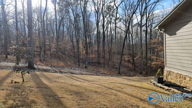 1222 Sibert Drive, Glencoe, AL 35905