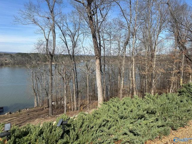 1222 Sibert Drive, Glencoe, AL 35905