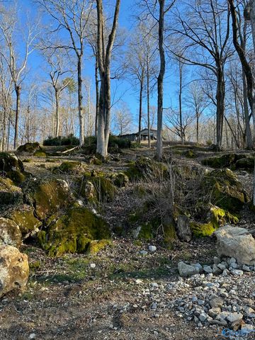 1222 Sibert Drive, Glencoe, AL 35905