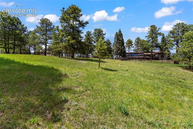 42 Bluebird Hill NA, Woodland Park, CO 80863