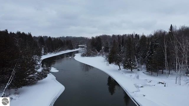 3681 Riverview Road, Manton, MI 49663