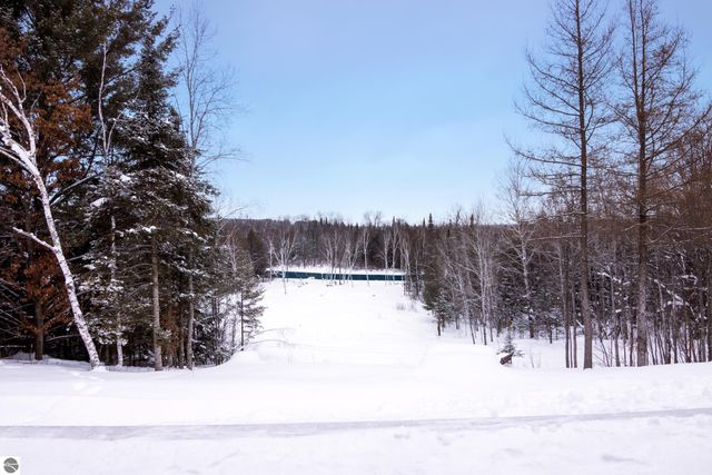 3681 Riverview Road, Manton, MI 49663