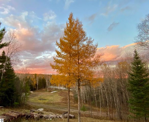 3681 Riverview Road, Manton, MI 49663