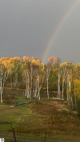 3681 Riverview Road, Manton, MI 49663