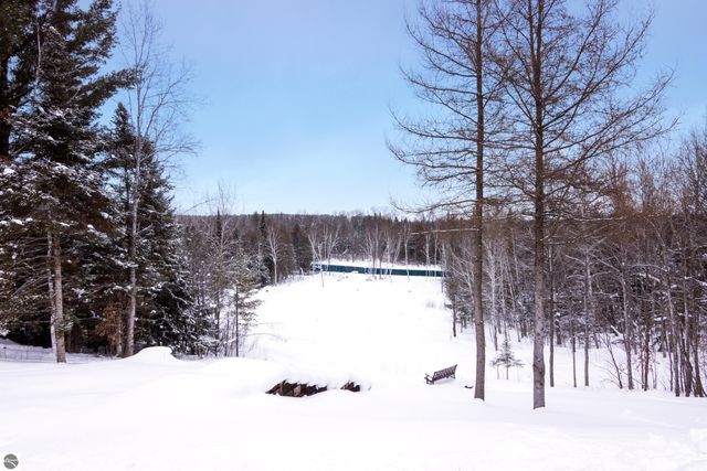 3681 Riverview Road, Manton, MI 49663