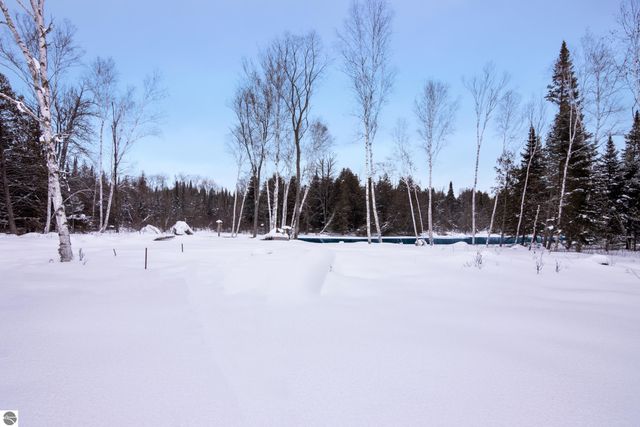 3681 Riverview Road, Manton, MI 49663