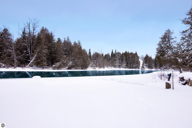 3681 Riverview Road, Manton, MI 49663