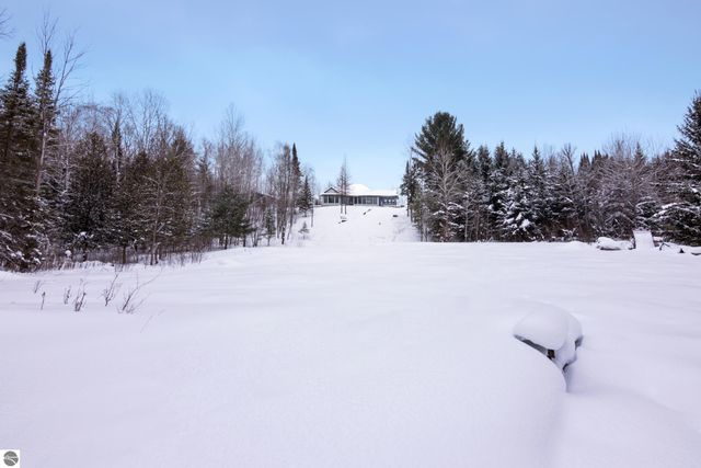 3681 Riverview Road, Manton, MI 49663