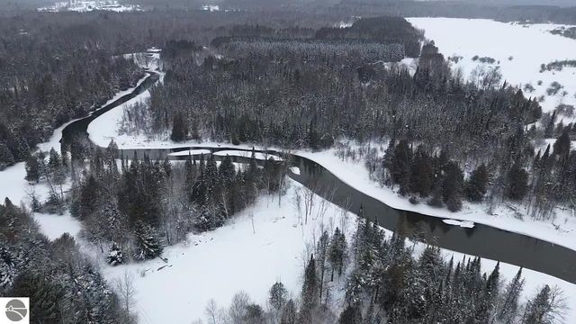 3681 Riverview Road, Manton, MI 49663