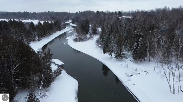 3681 Riverview Road, Manton, MI 49663