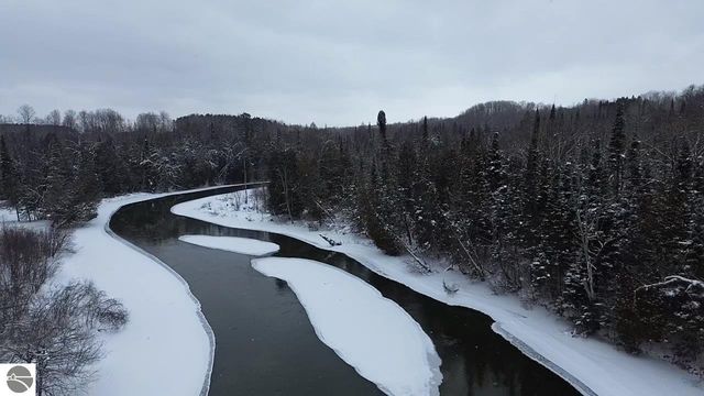 3681 Riverview Road, Manton, MI 49663