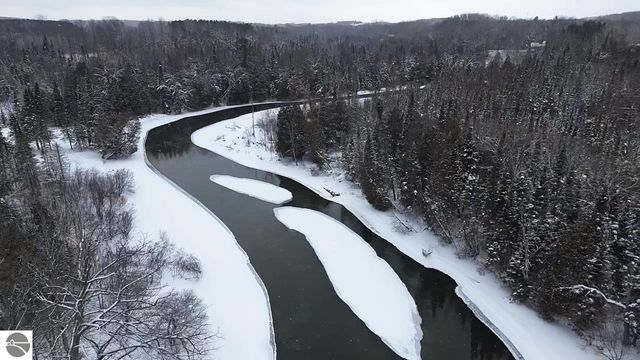 3681 Riverview Road, Manton, MI 49663