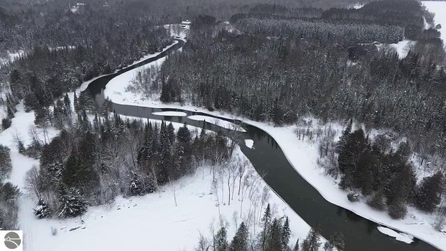 3681 Riverview Road, Manton, MI 49663