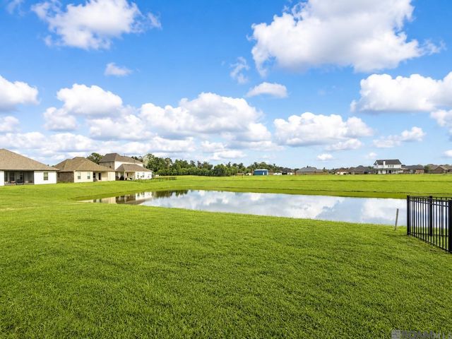 36177 Belle Parc Ave, Geismar, LA 70734